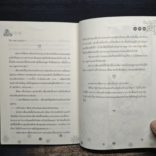 เสือดาวลักพาใจ รูปที่ 8