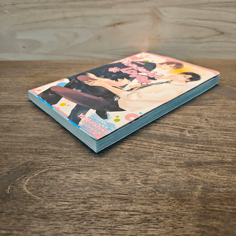 Wonderful Lover วันเดอร์ฟลู เลิฟเวอร์ เล่ม 2 รูปที่ 3
