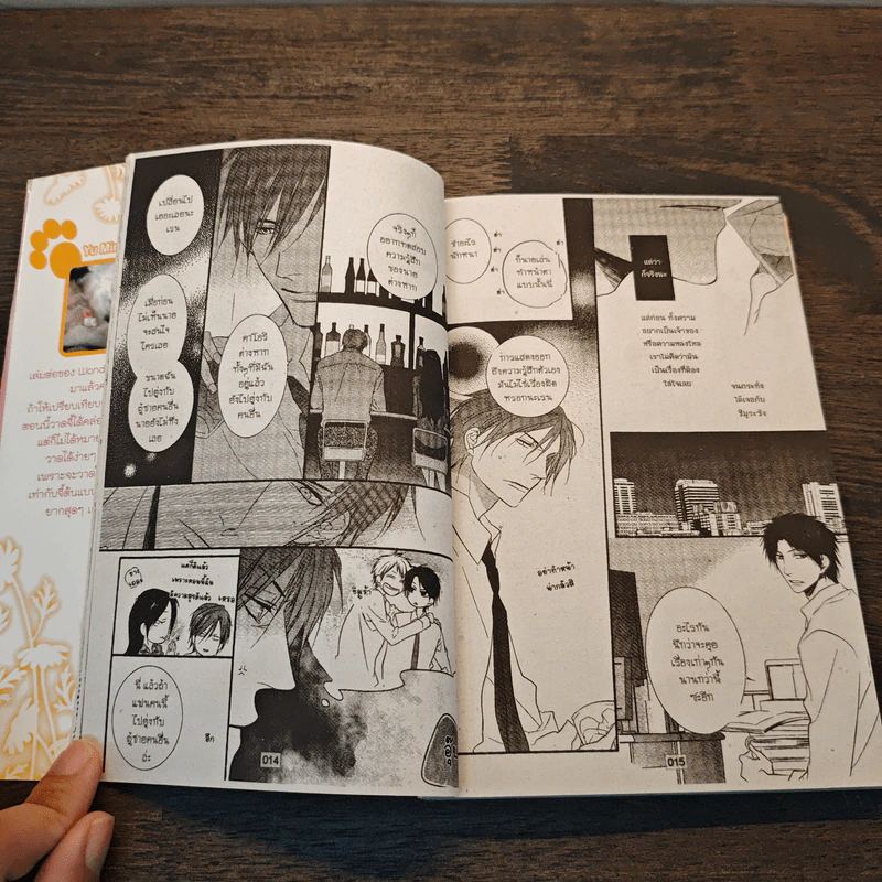 Wonderful Lover วันเดอร์ฟลู เลิฟเวอร์ เล่ม 2 รูปที่ 6