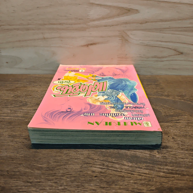 แฝดจุ้นวุ่นรัก เล่ม 5 รูปที่ 4