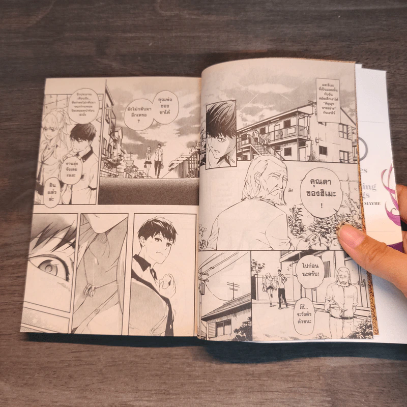 ตำนานผู้กล้าแห่งแหวน Tales of Wedding Rings เล่ม 1,2,4,5 - MAYBE รูปที่ 9