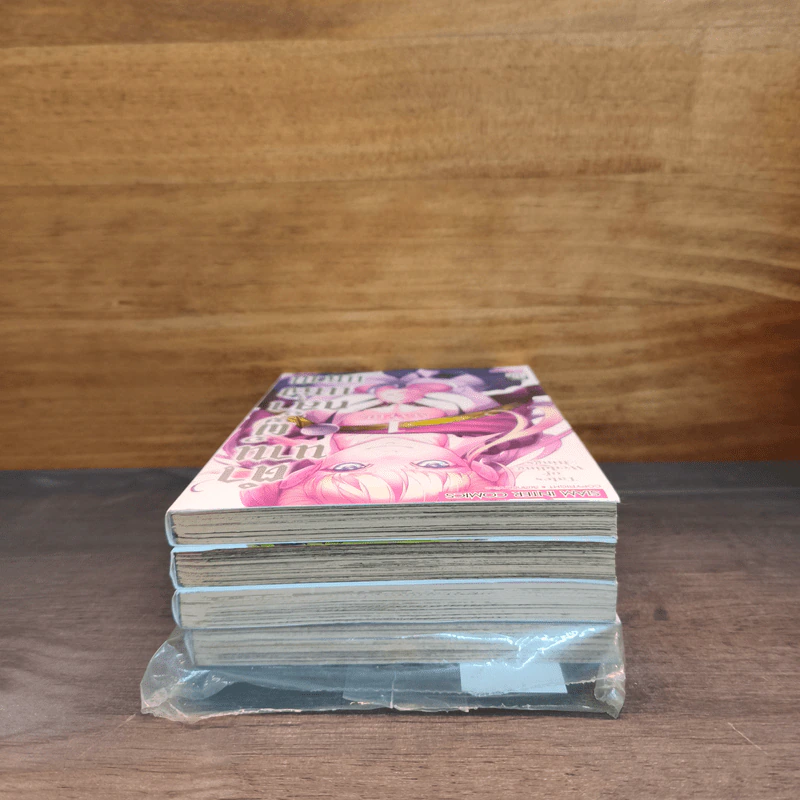 ตำนานผู้กล้าแห่งแหวน Tales of Wedding Rings เล่ม 1,2,4,5 - MAYBE รูปที่ 5