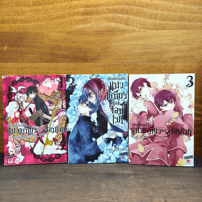 มิติมหัศจรรย์กับ แมวเหมียวของจอมเวท เล่ม 1-3 - ยูอิ คิคุดะ รูปที่ 1