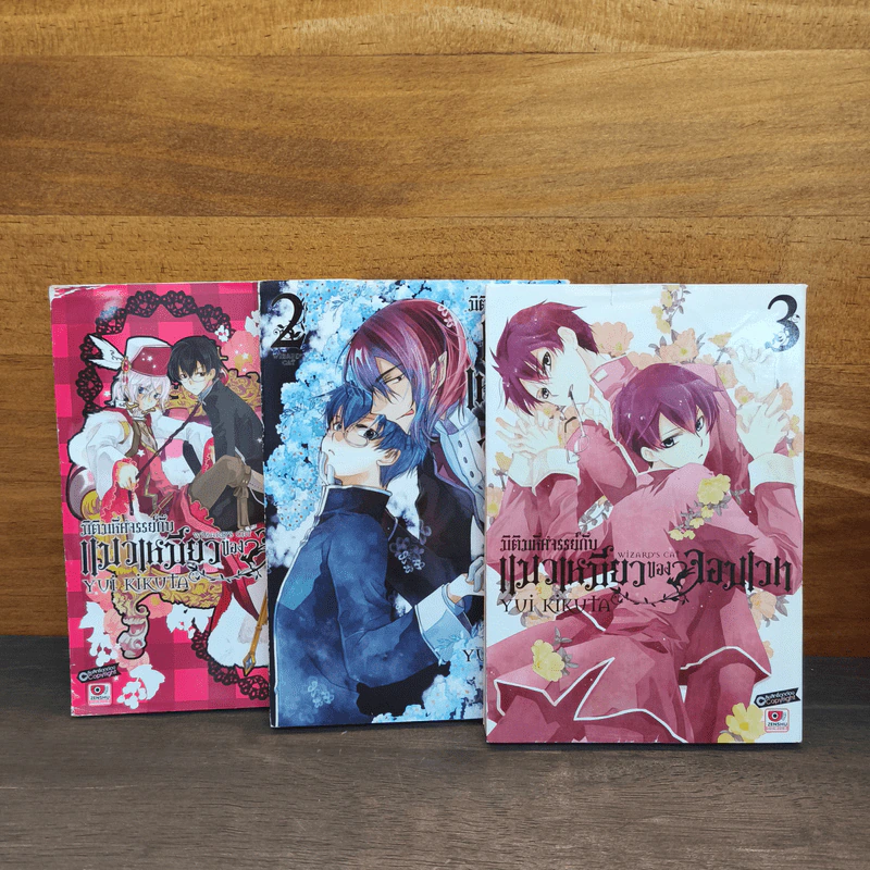 มิติมหัศจรรย์กับ แมวเหมียวของจอมเวท เล่ม 1-3 - ยูอิ คิคุดะ รูปที่ 2