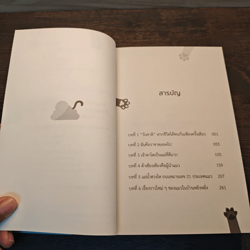 แมวฉันอยู่บนสวรรค์ - หลิว ตีชวน รูปที่ 7
