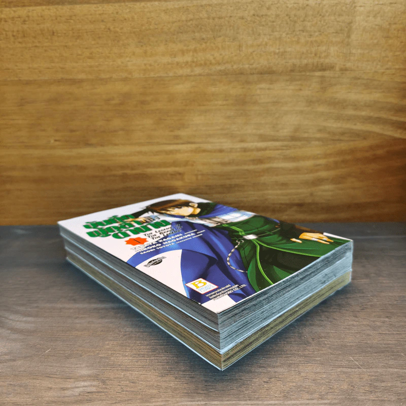 บันทึกผู้กล้าแห่งตำนาน The Legend of The Brave of The Legend เล่ม 1-3 รูปที่ 3