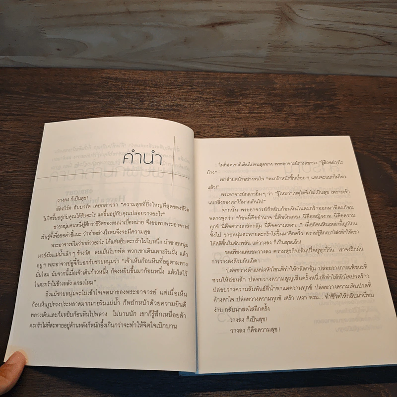 วางลงก็เป็นสุข Just let it go - เซียวเย่ว์ รูปที่ 8