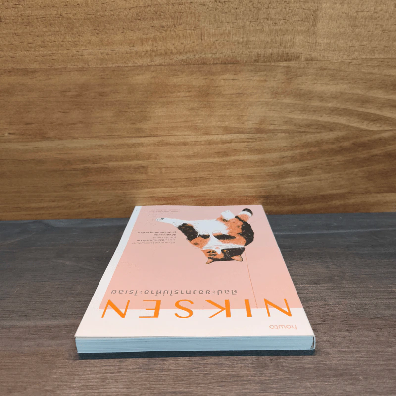 NIKSEN ศิลปะของการไม่ทำอะไรเลย - ลาฟไรห์เซน, แอนเนท รูปที่ 4