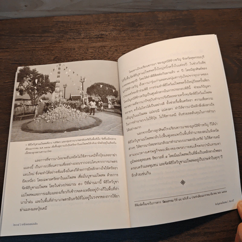 จารึกของแผ่นดิน - นิพัทธ์พร เพ็งแก้ว รูปที่ 10