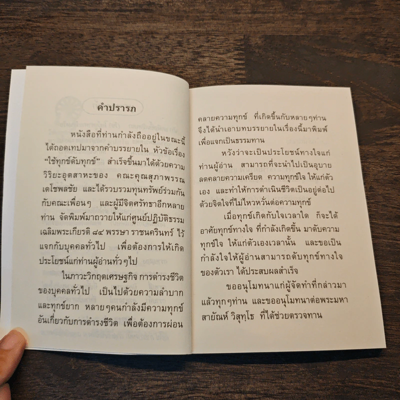 ใช้ทุกข์ดับทุกข์ รูปที่ 7