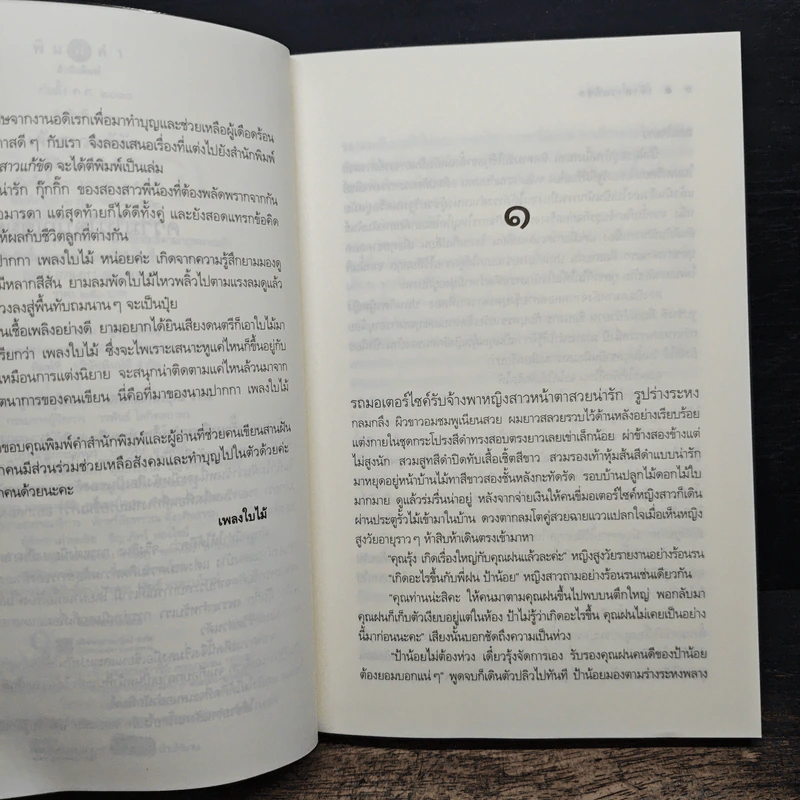 เจ้าสาวแก้ขัด - เพลงใบไม้ รูปที่ 7