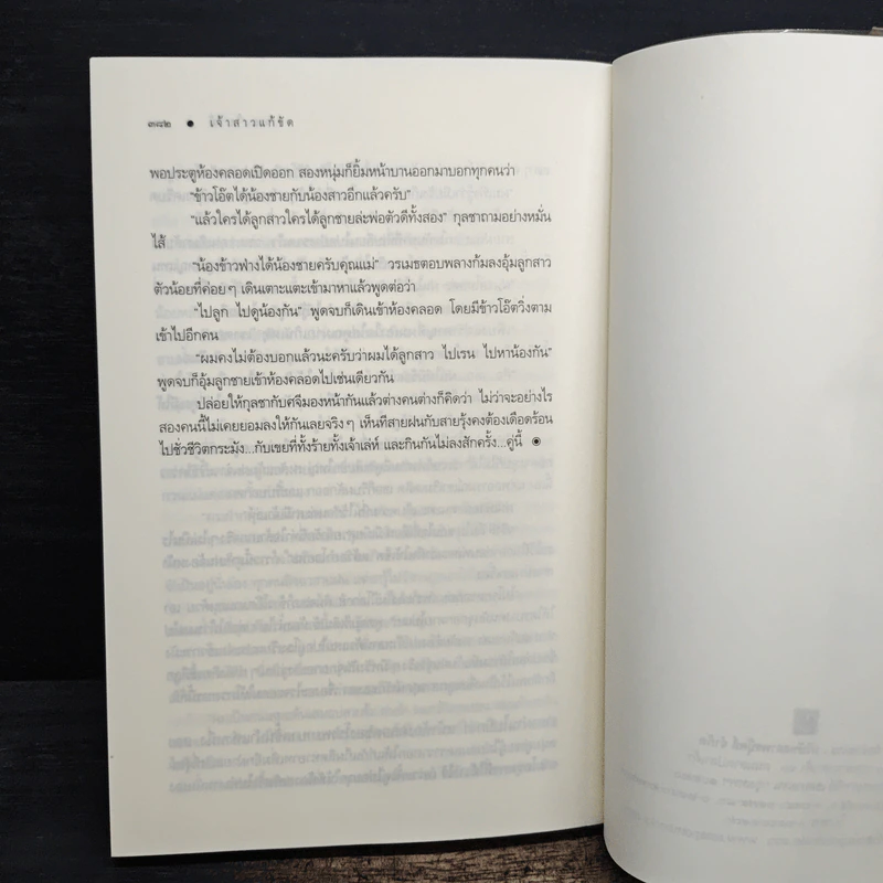 เจ้าสาวแก้ขัด - เพลงใบไม้ รูปที่ 8