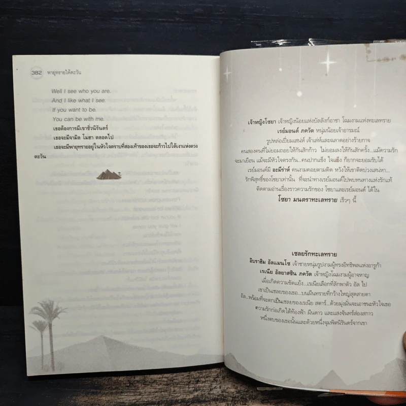 พายุทรายใต้ตะวัน - อาริตา รูปที่ 9