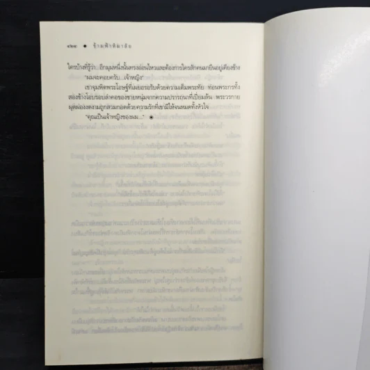 ข้ามฟ้าหิมาลัย - พิมพิสุธญ์ รูปที่ 7