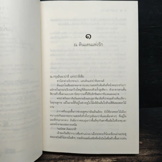 ข้ามฟ้าหิมาลัย - พิมพิสุธญ์ รูปที่ 6