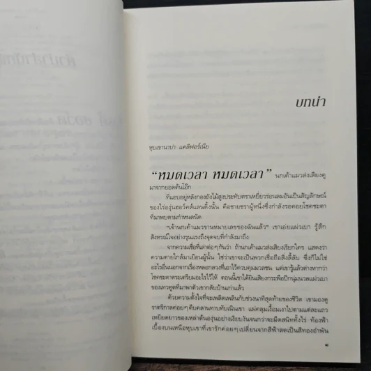 หลงเงา Trust No One - แมรีล ซอว์เยอร์ รูปที่ 7