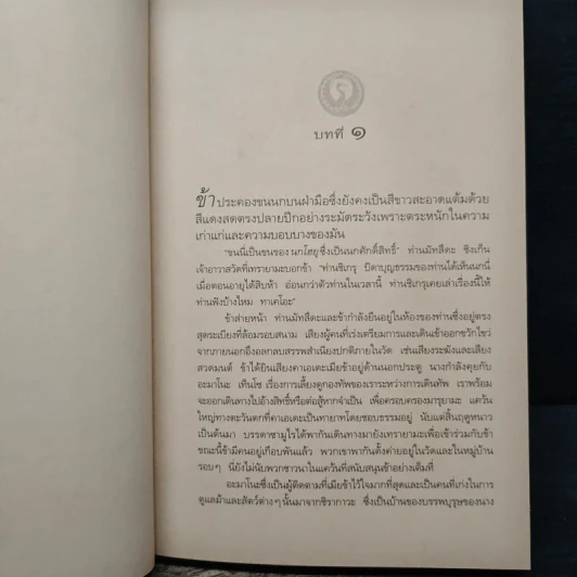 เทลส์ออฟดิโอโตริ เล่ม 3 จันทร์กระจ่างฟ้า - ลิอัน เฮิร์น รูปที่ 9