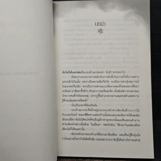 นางฟ้านักล่า - ลิลลี เซนต์ โครว รูปที่ 8