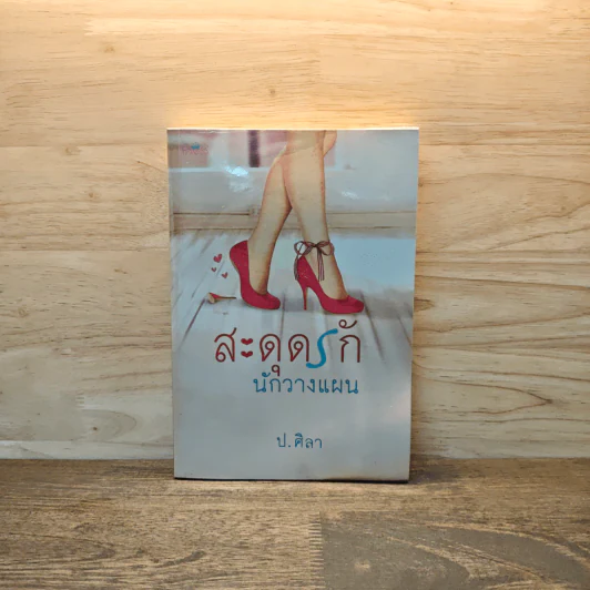 สะดุดรักนักวางแผน - ป.ศิลา รูปที่ 1