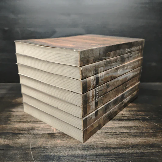 Box Set Survived ต้องรอด 7 เล่มจบ รูปที่ 8