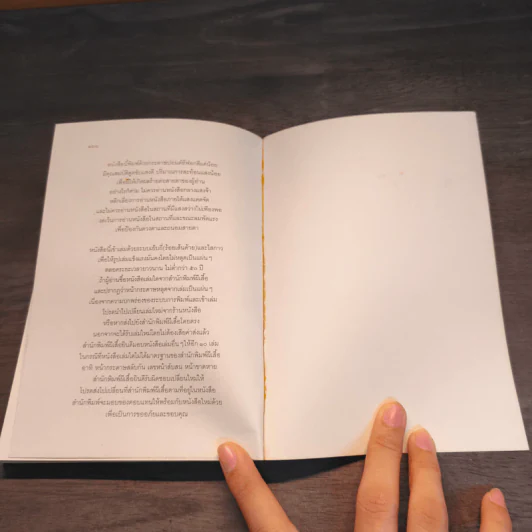 รู้สึกนึกคิด - ระวี ภาวิไล รูปที่ 8