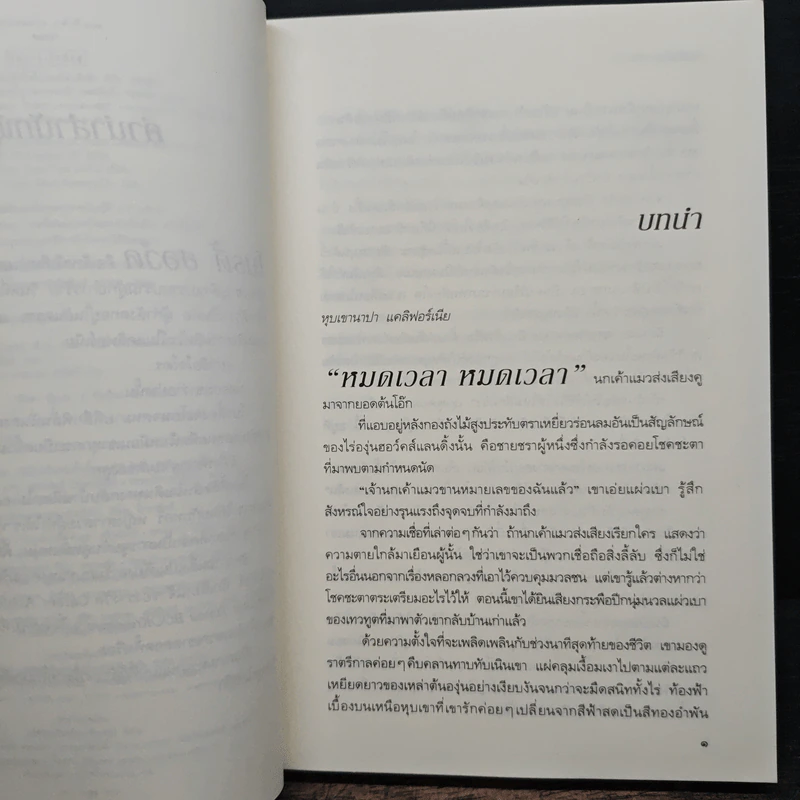 หลงเงา Trust No One - แมรีล ซอว์เยอร์ รูปที่ 7