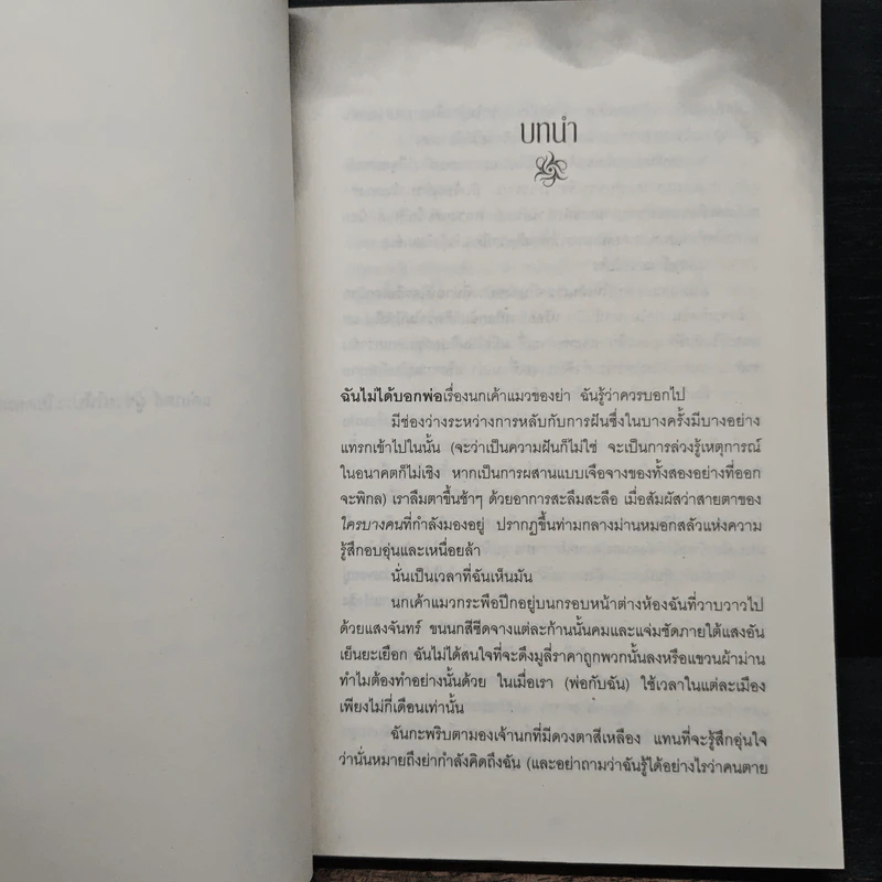 นางฟ้านักล่า - ลิลลี เซนต์ โครว รูปที่ 8
