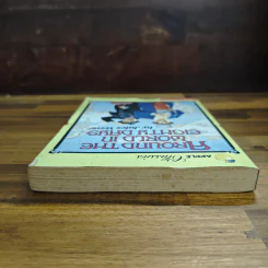 Around the World in Eighty Days - Jules Verne รูปที่ 5