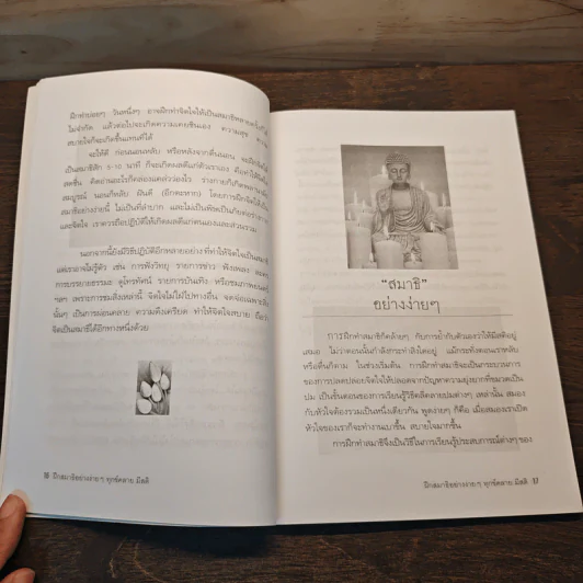 ฝึกสมาธิอย่างง่ายๆ ทุกข์คลาย มีสติ - ปัณณวัฒน์ รูปที่ 8