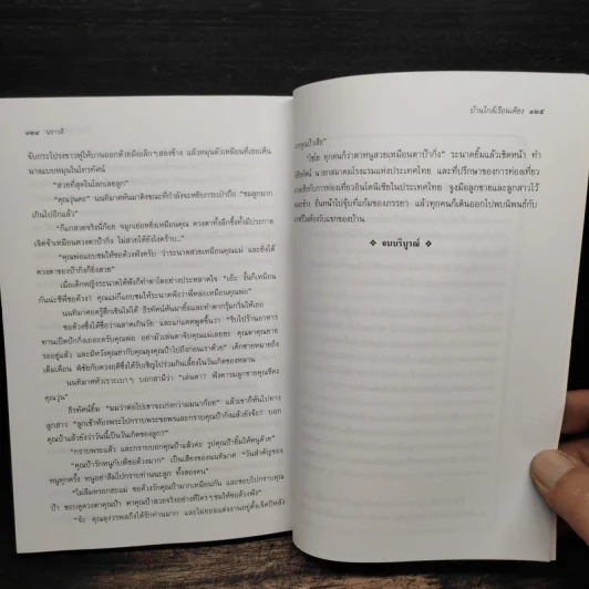 บ้านใกล้เรือนเคียง - นราวดี รูปที่ 8