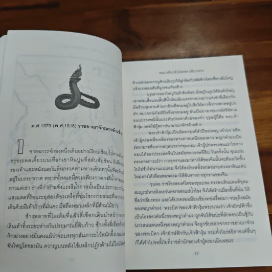 แม่โขง Mekong - ปองพล อดิเรกสาร รูปที่ 7