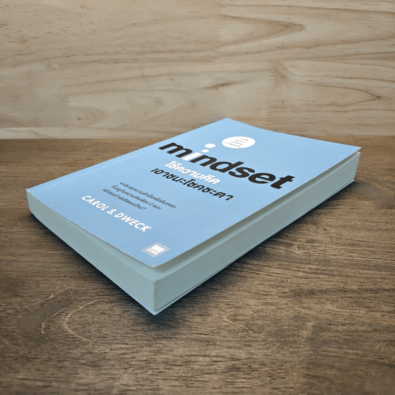 Mindset ใช้ความคิดเอาชนะโชคชะตา - Carol S.Dweck รูปที่ 3