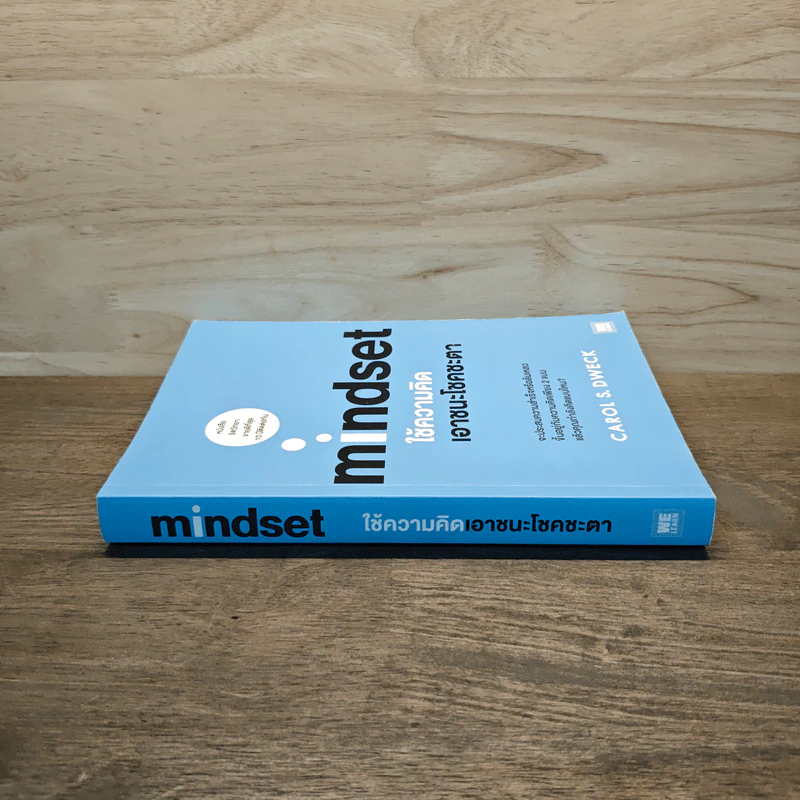 Mindset ใช้ความคิดเอาชนะโชคชะตา - Carol S.Dweck รูปที่ 2