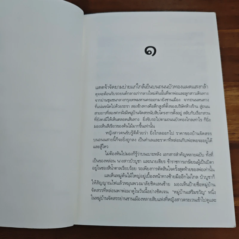 ในสวนขวัญ - ดวงตะวัน รูปที่ 7