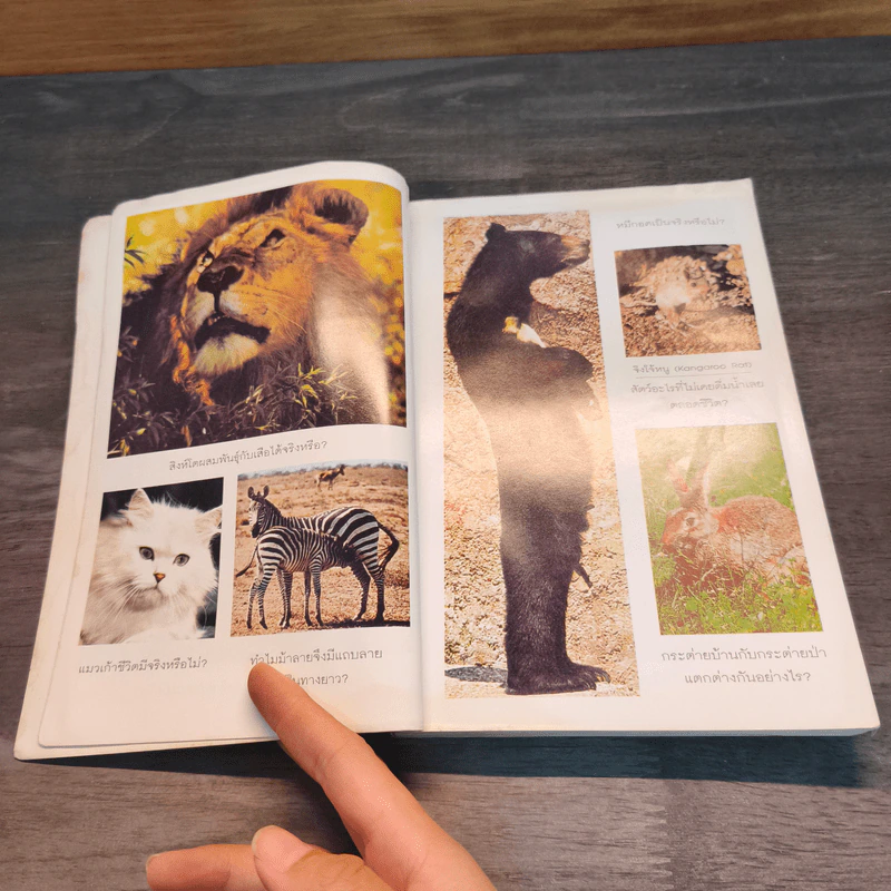 รู้แล้วทึ่ง Amazing Animals - สัมพันธ์ ก้องสมุทร รูปที่ 6