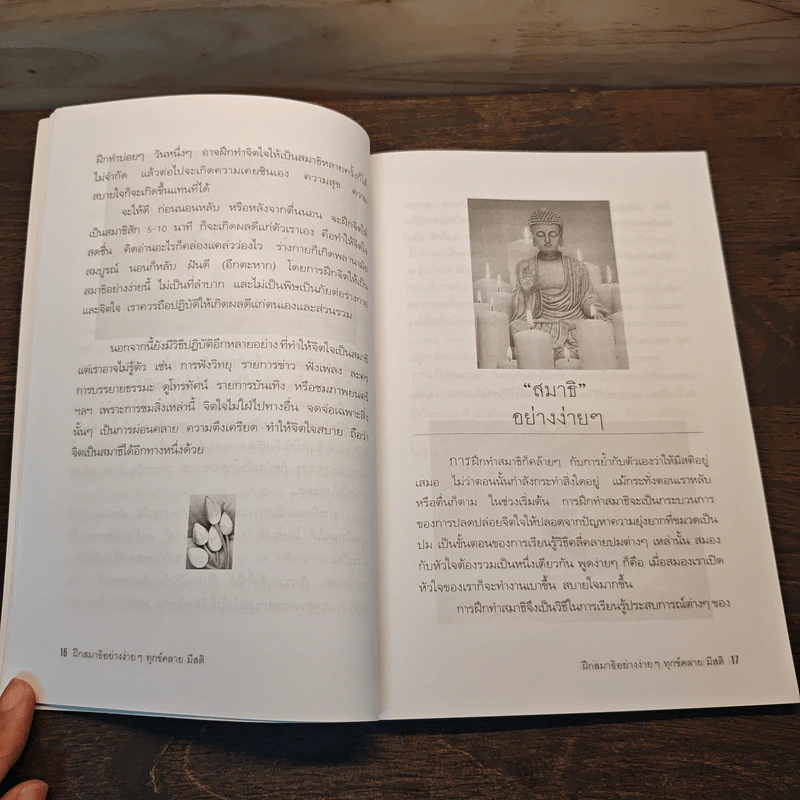 ฝึกสมาธิอย่างง่ายๆ ทุกข์คลาย มีสติ - ปัณณวัฒน์ รูปที่ 8