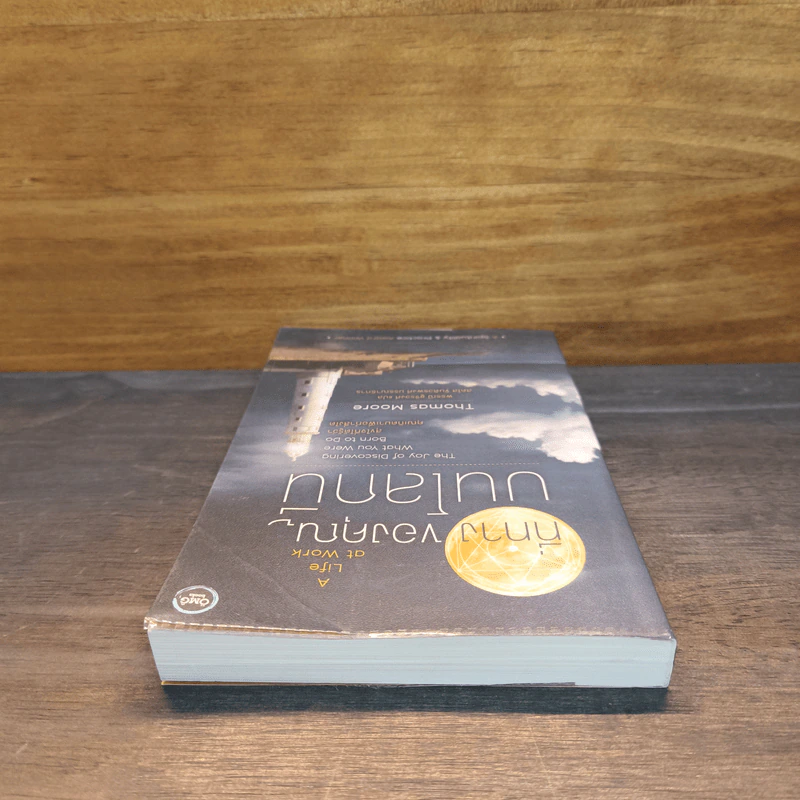 ที่ทางของคุณบนโลกนี้: A Life at Work - Thomas Moore รูปที่ 4