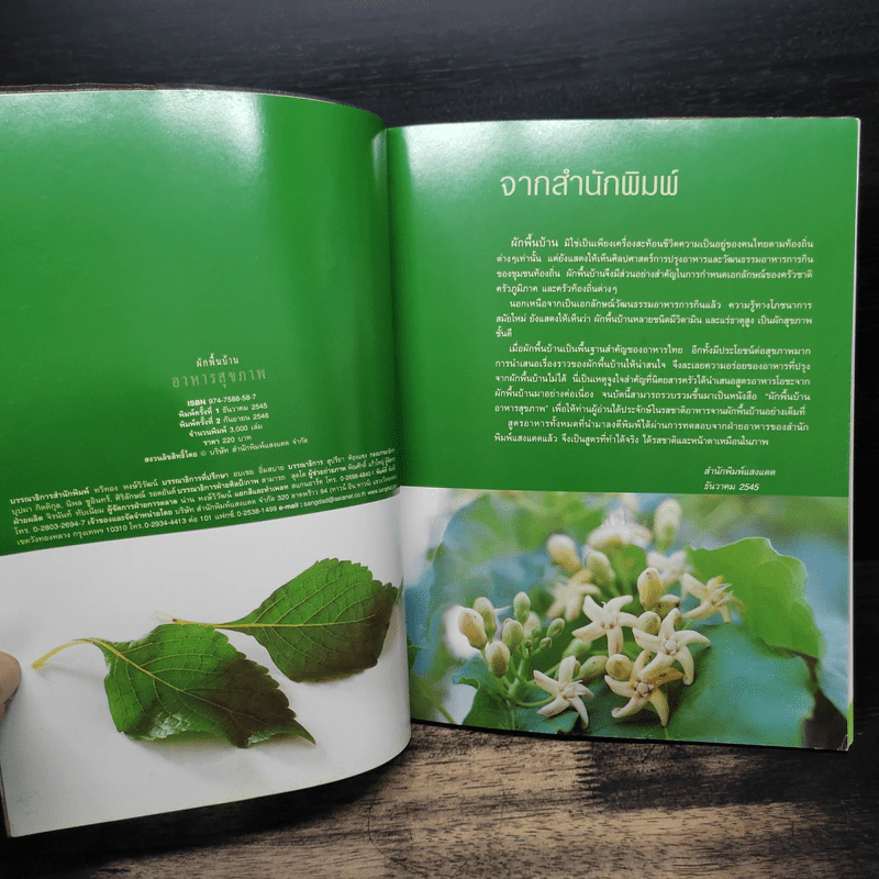 ผักพื้นบ้านอาหารสุขภาพ รูปที่ 6