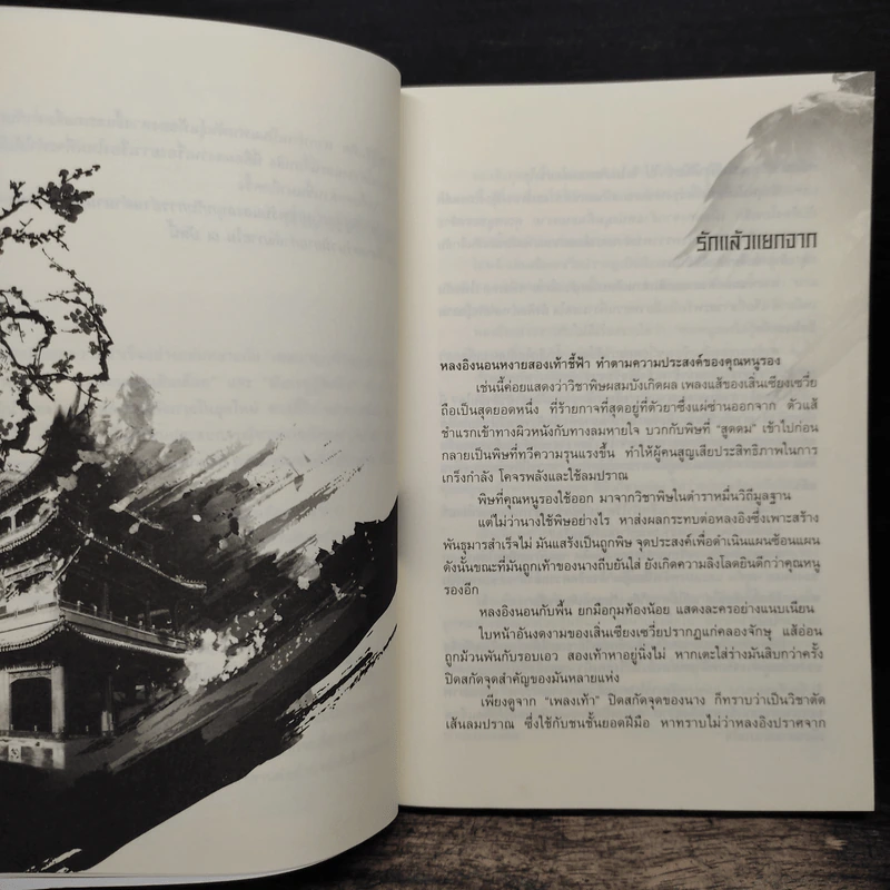 เหยี่ยวมารสะท้านสิบทิศ เล่ม 17 - หวงอี้ รูปที่ 7