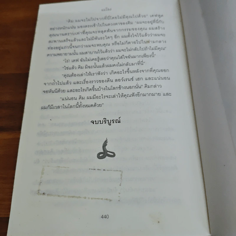 แม่โขง Mekong - ปองพล อดิเรกสาร รูปที่ 9
