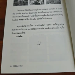 ศิถีสีสันพาฬจรัส - แอลลี่ รูปที่ 9