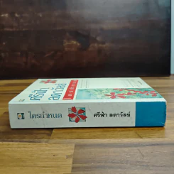 ใครกำหนด - ศรีฟ้า ลดาวัลย์ รูปที่ 3