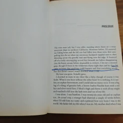 Wild: A Journey from Lost to Found - Cheryl Strayed รูปที่ 9