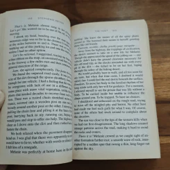 The Host - Stephenie Meyer รูปที่ 8