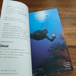 ภูเก็ต เที่ยวทั่วไทยไปกับนายรอบรู้ รูปที่ 6