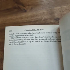 If You Could See Me Now - Cecelia Ahern รูปที่ 9