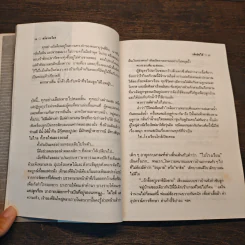 เด็กบินได้ - ศรีดาวเรือง รูปที่ 9