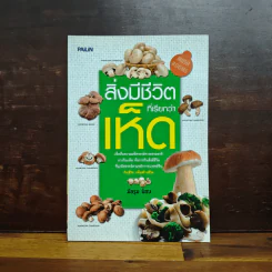 สิ่งมีชีวิตที่เรียกว่าเห็ด - มัชรูม บ็อบ