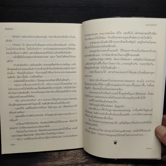 กลรักลิขิตใจ - ทักษิณา รูปที่ 8