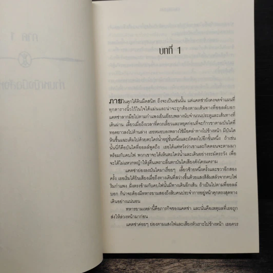 ท่านหญิงมือสังหาร - คริสติน แคสชอร์ รูปที่ 8